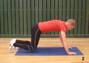 Exercice de gainage en quadrupédie